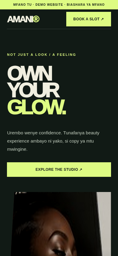 Screenshot ya website ya mfano, concept B